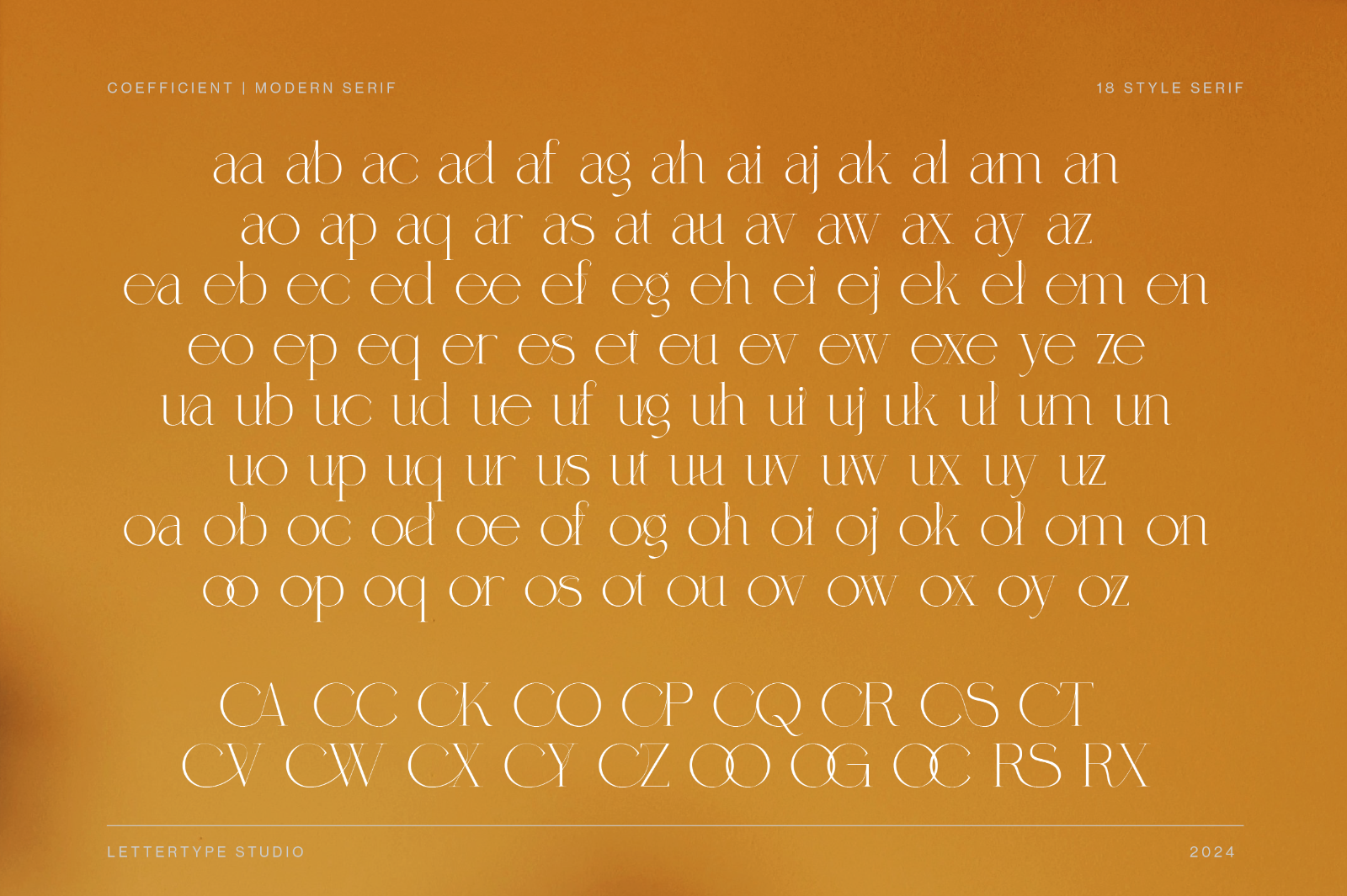 Coefficient Modern & Elegant Serif — image 8