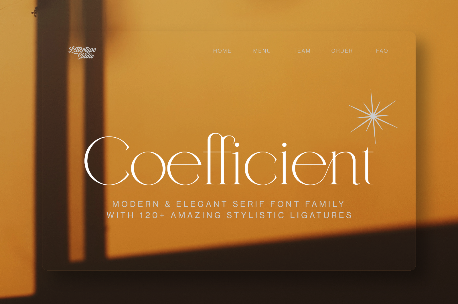 Coefficient Modern & Elegant Serif — image 10