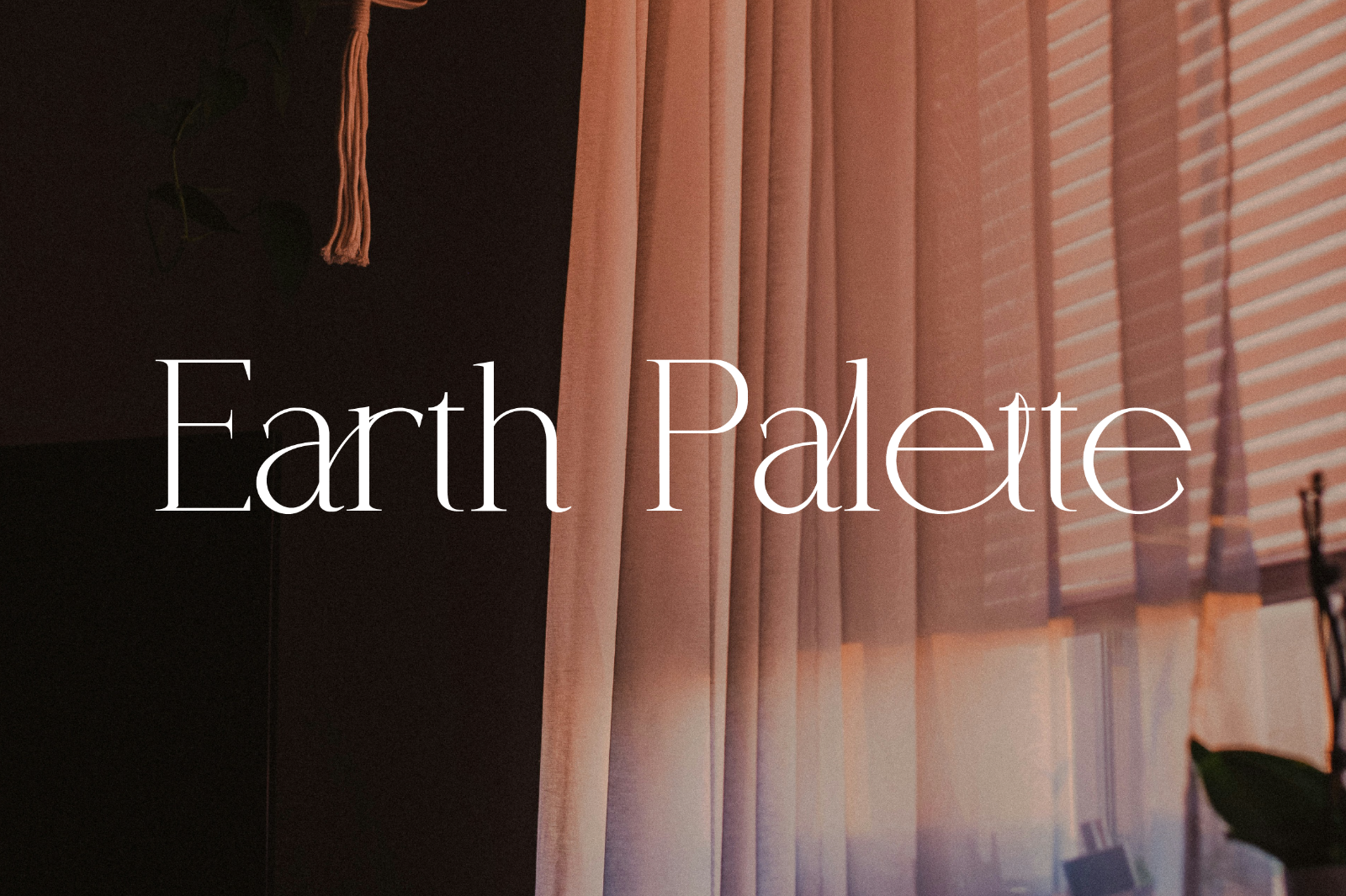 Coefficient Modern & Elegant Serif — image 13