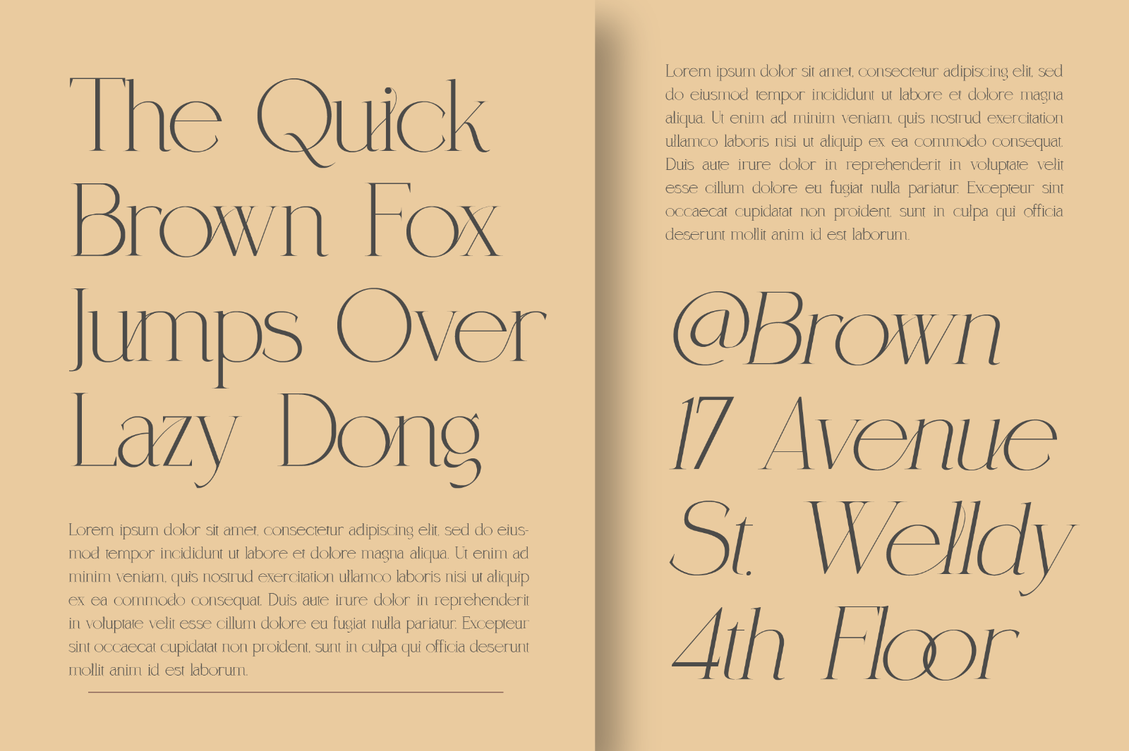 Coefficient Modern & Elegant Serif — image 14
