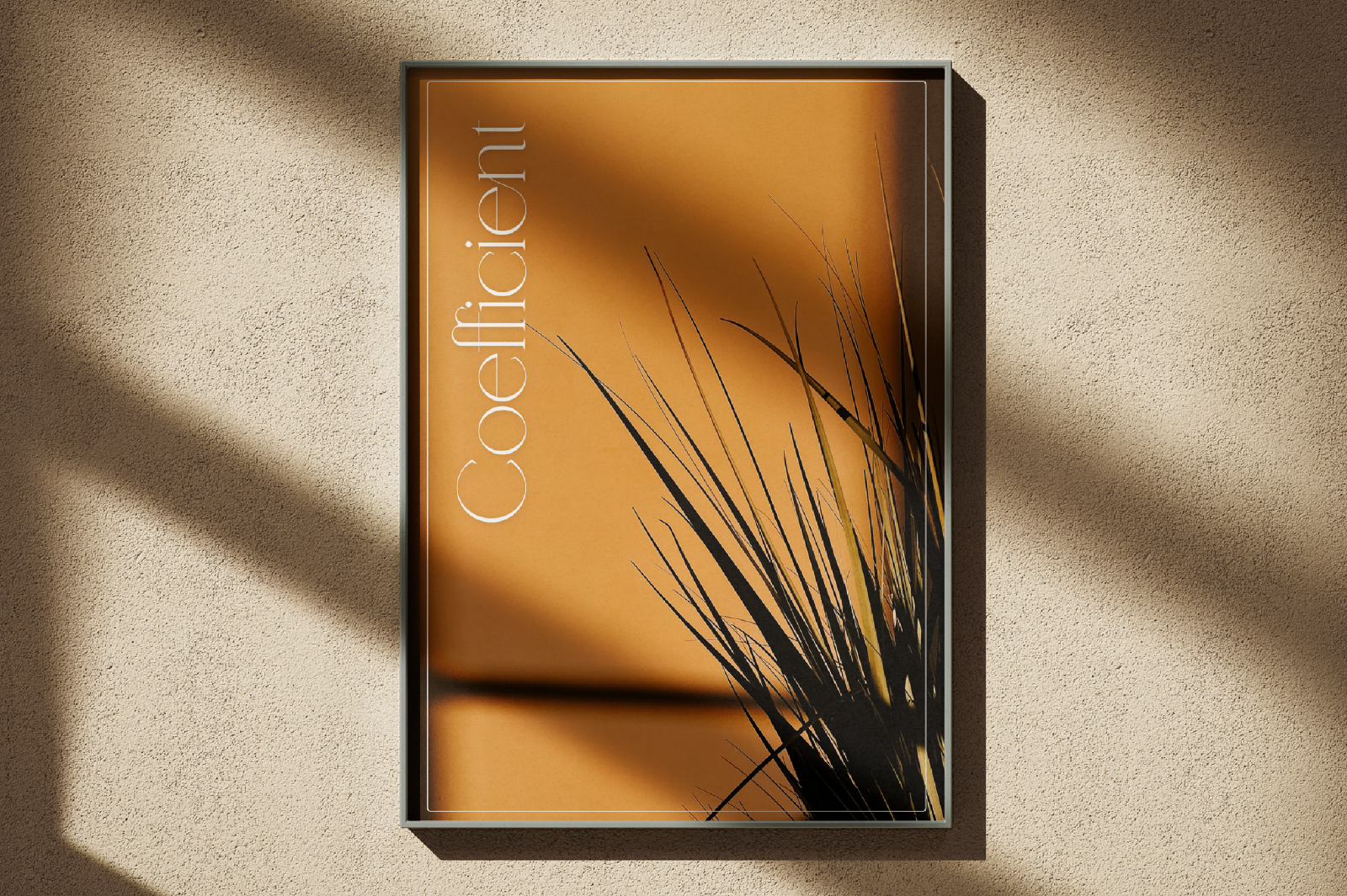 Coefficient Modern & Elegant Serif — image 15