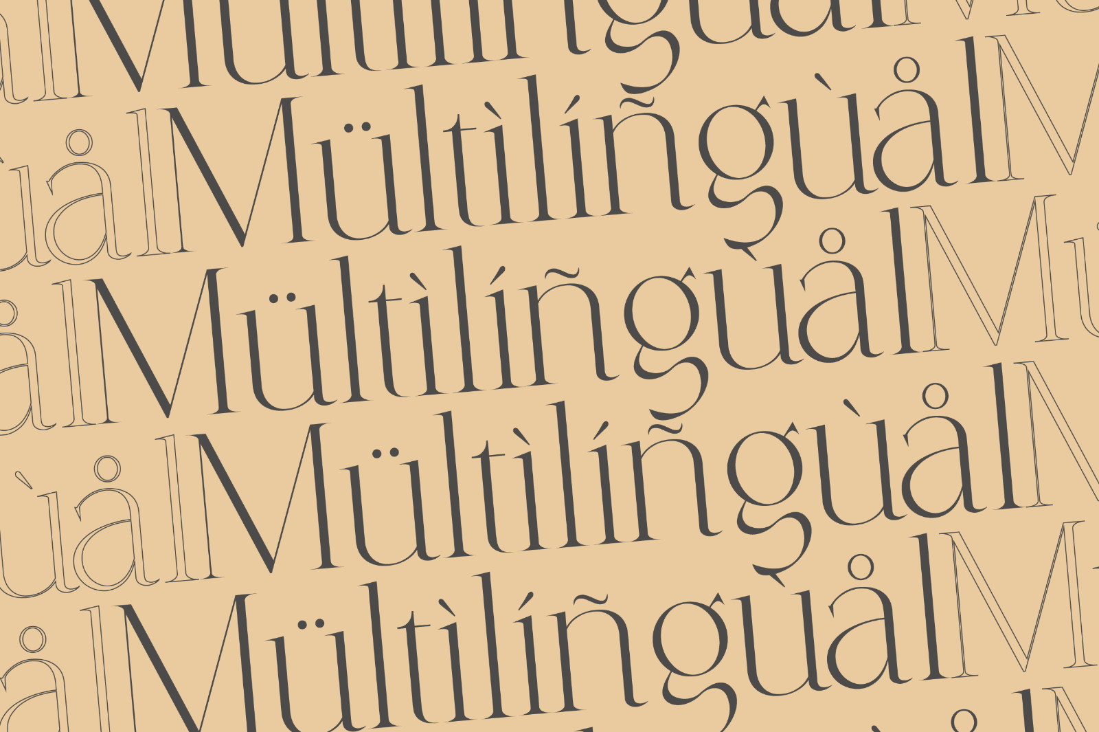 Coefficient Modern & Elegant Serif — image 17