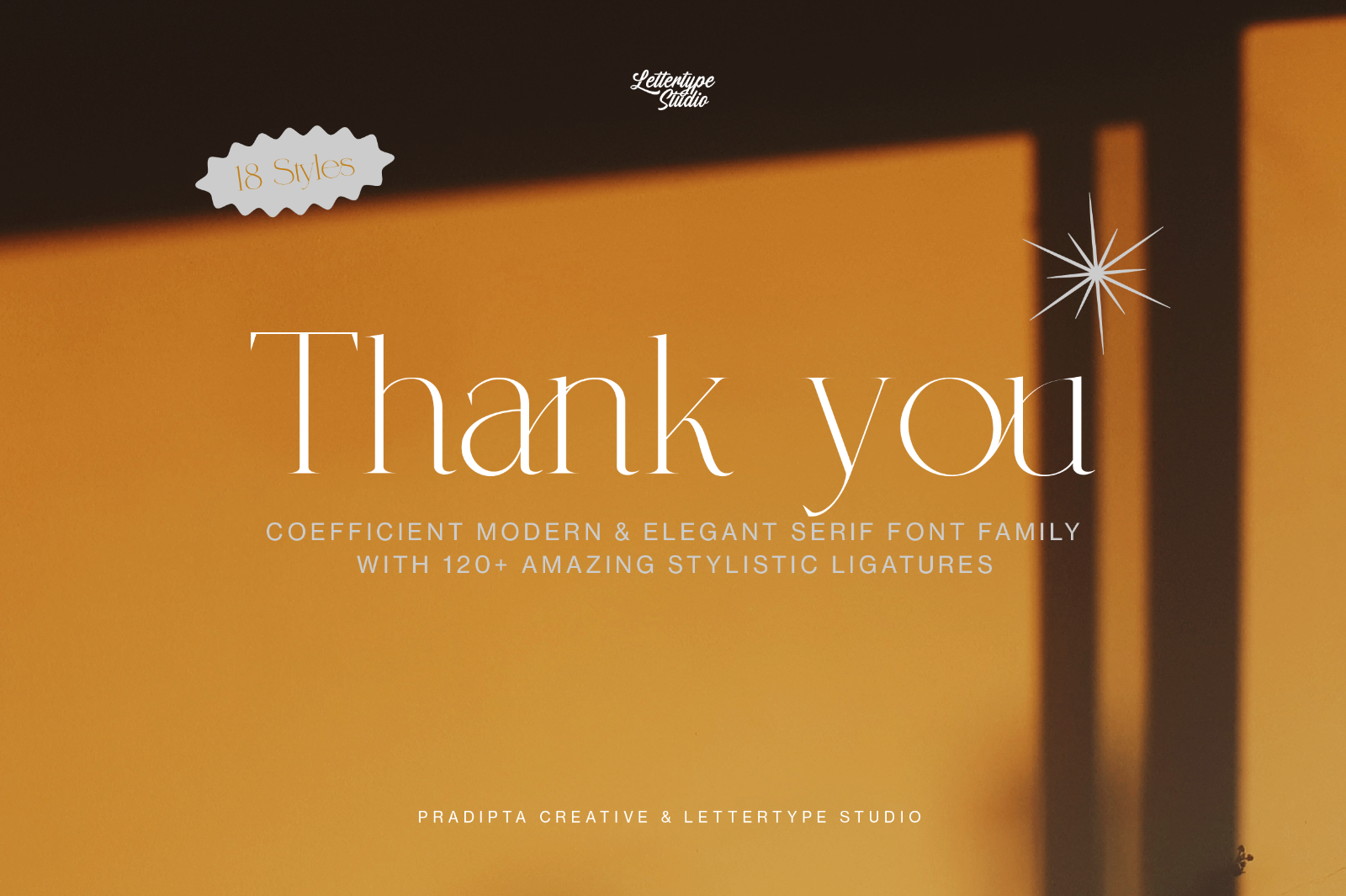Coefficient Modern & Elegant Serif — image 18
