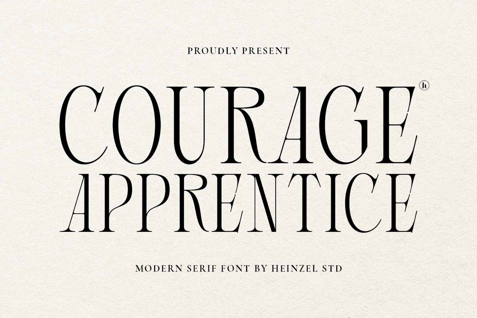 Courage Apprentice Modern Serif Font — image 1