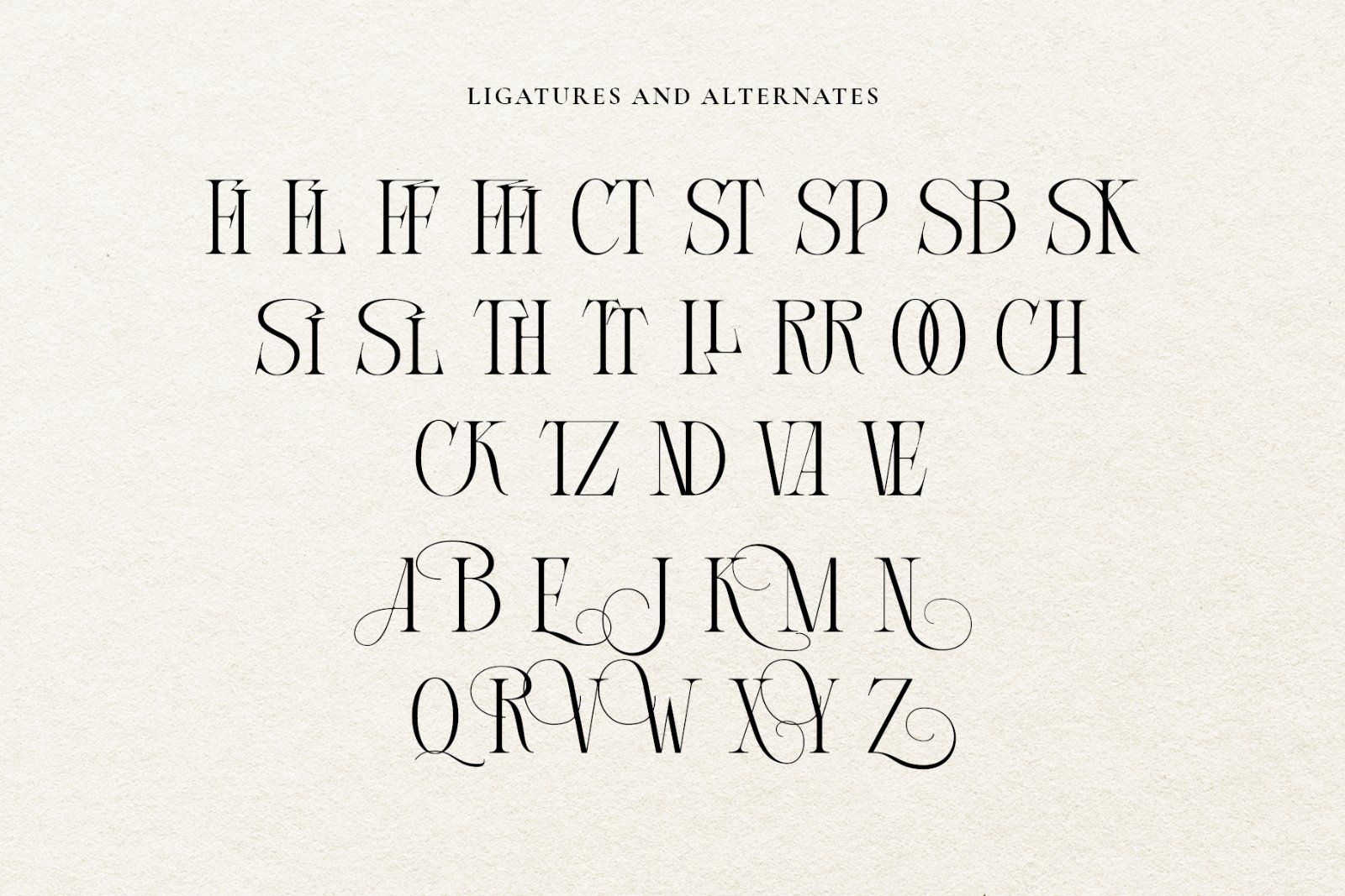 Courage Apprentice Modern Serif Font — image 11
