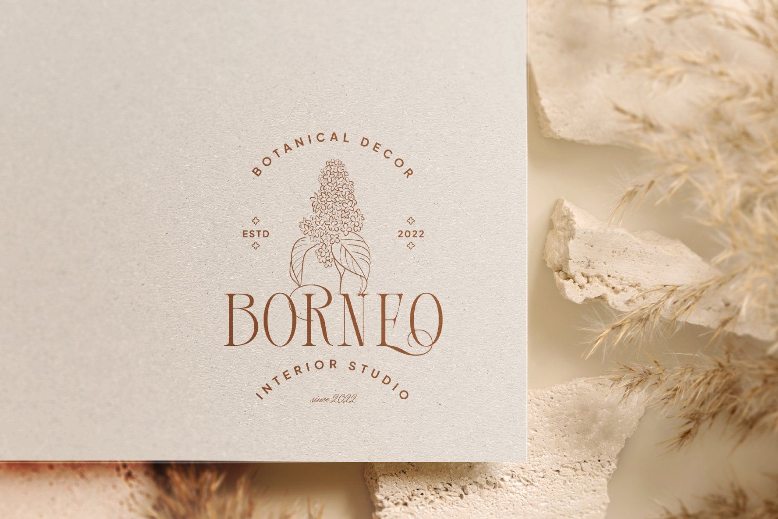 Courage Apprentice Modern Serif Font — image 3