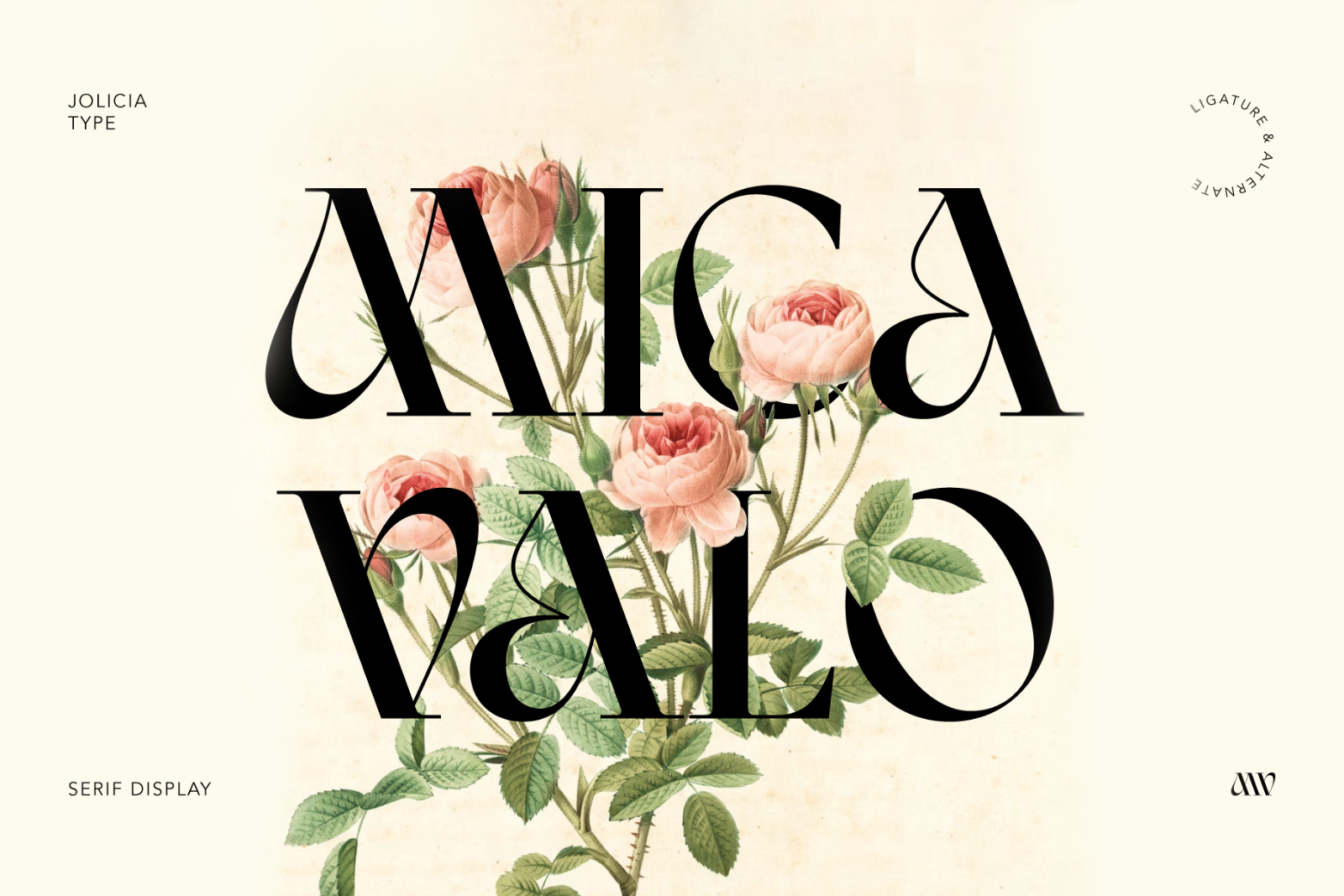 Mica Valo | Elegant Serif Font — image 1