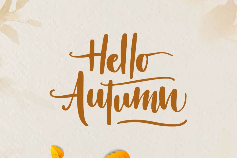 Autumn Botanical Leaf Layout Pack Design