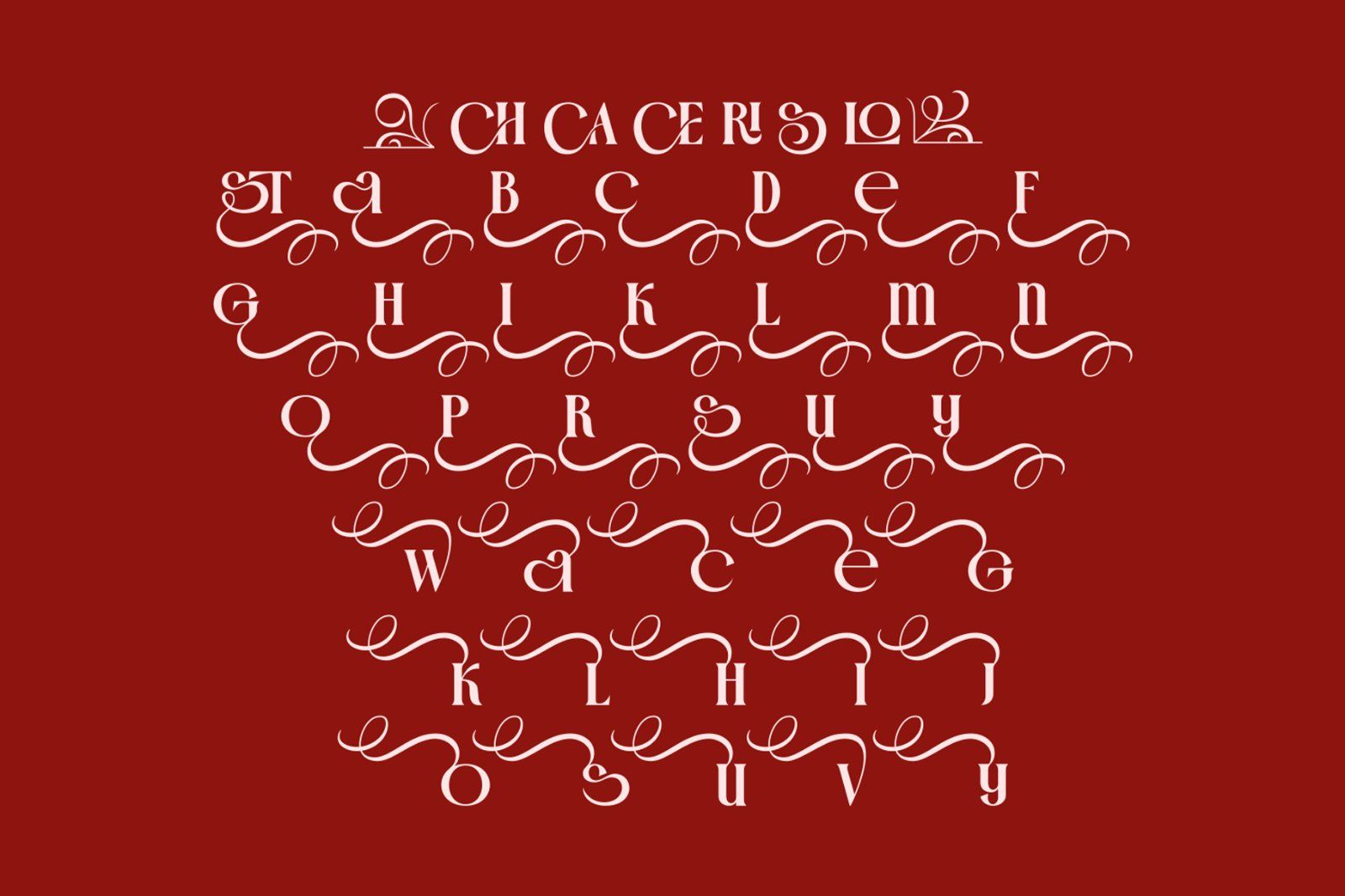 Crown Majestic Stylish Serif Font — image 11