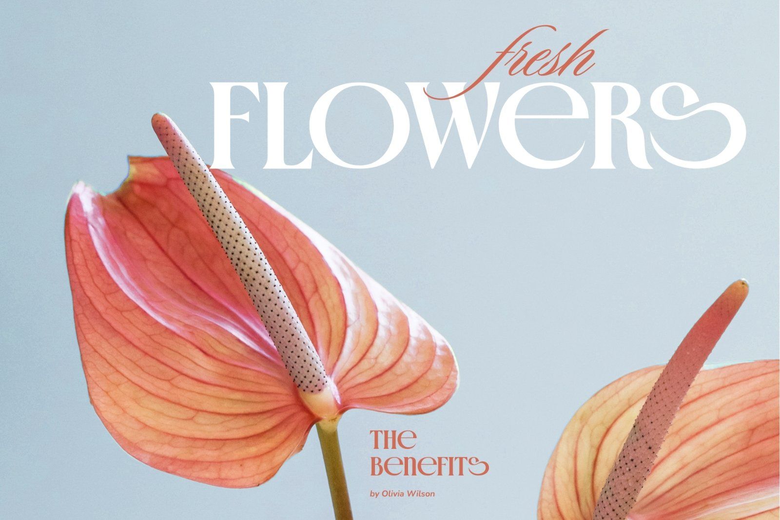 Crown Majestic Stylish Serif Font — image 12