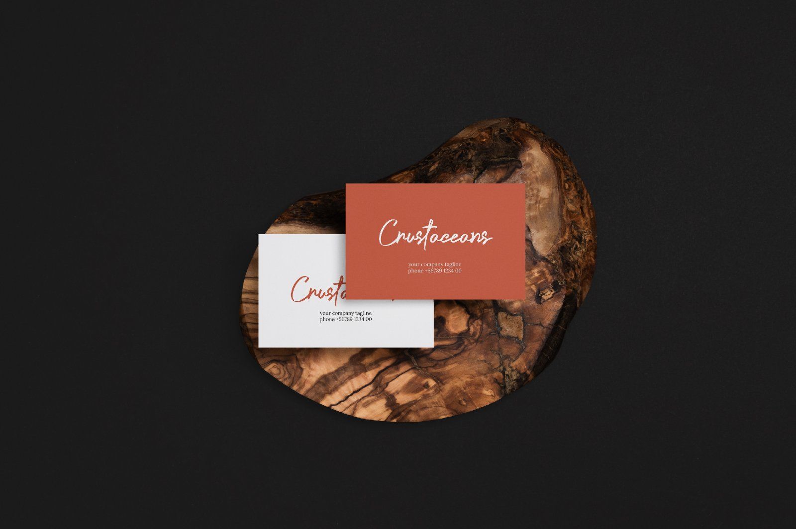 Crustaceans Signature Bold Script — image 12