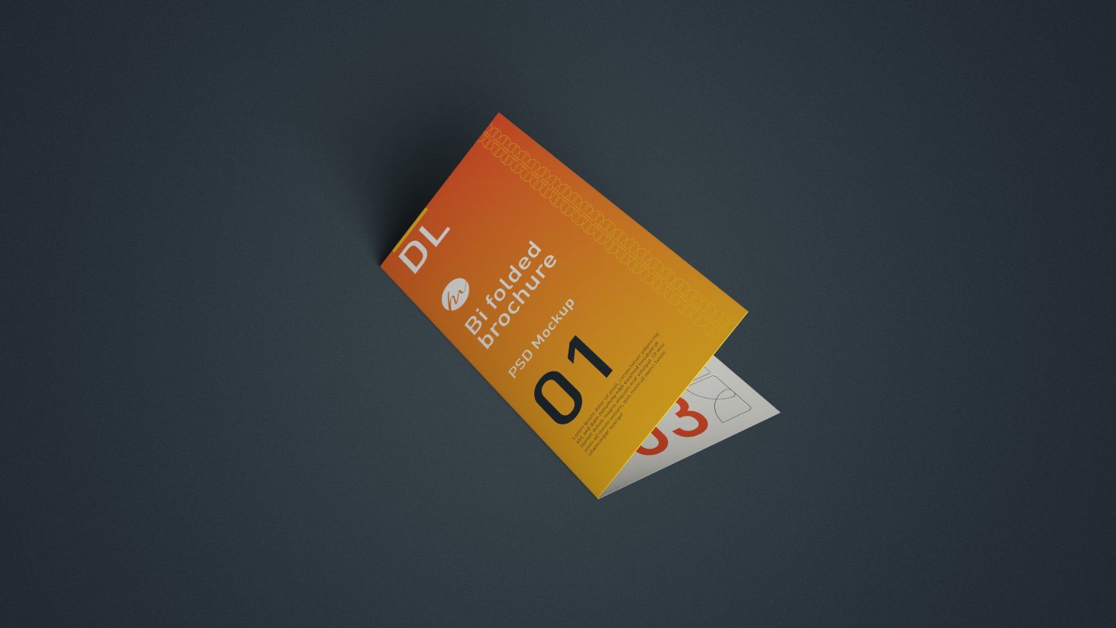 DL Bi Fold Brochure Mockup - 5 PSDs