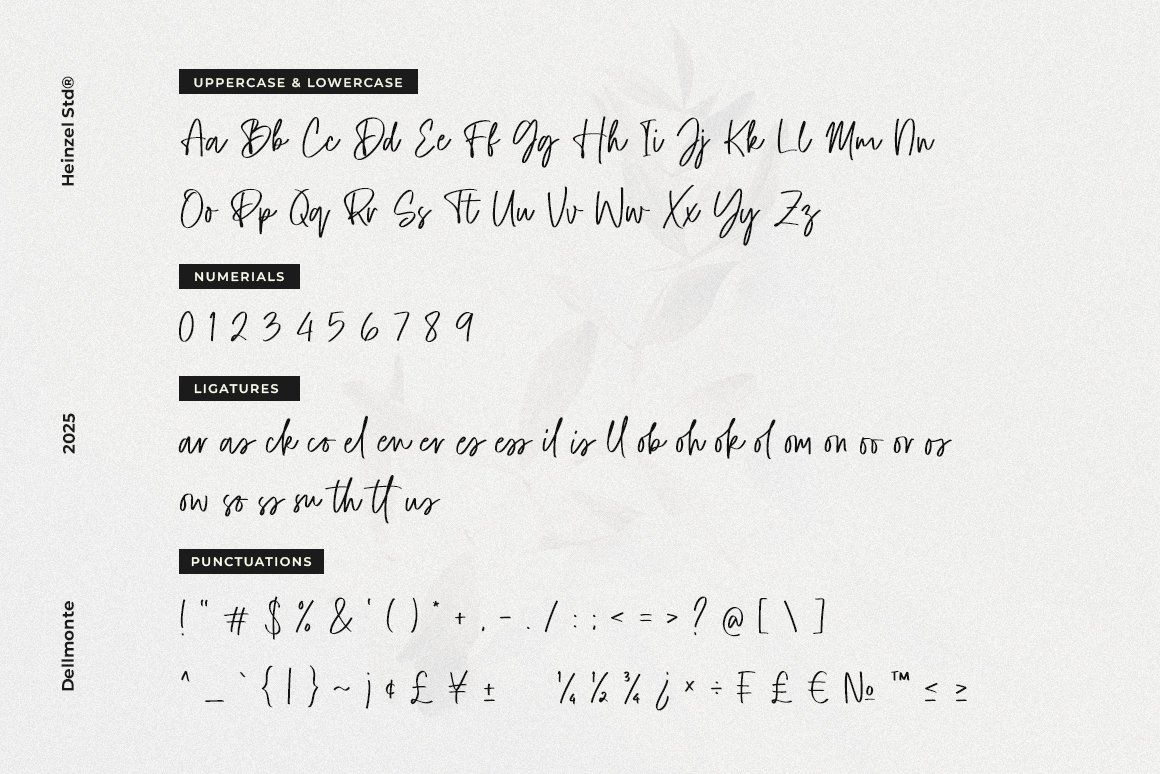 Dellmonte Casual Script Font — image 18