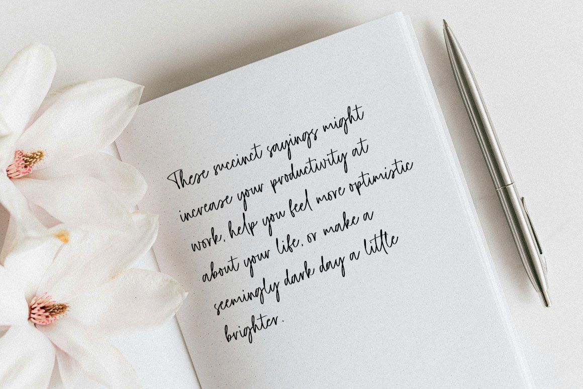 Dellmonte Casual Script Font — image 9