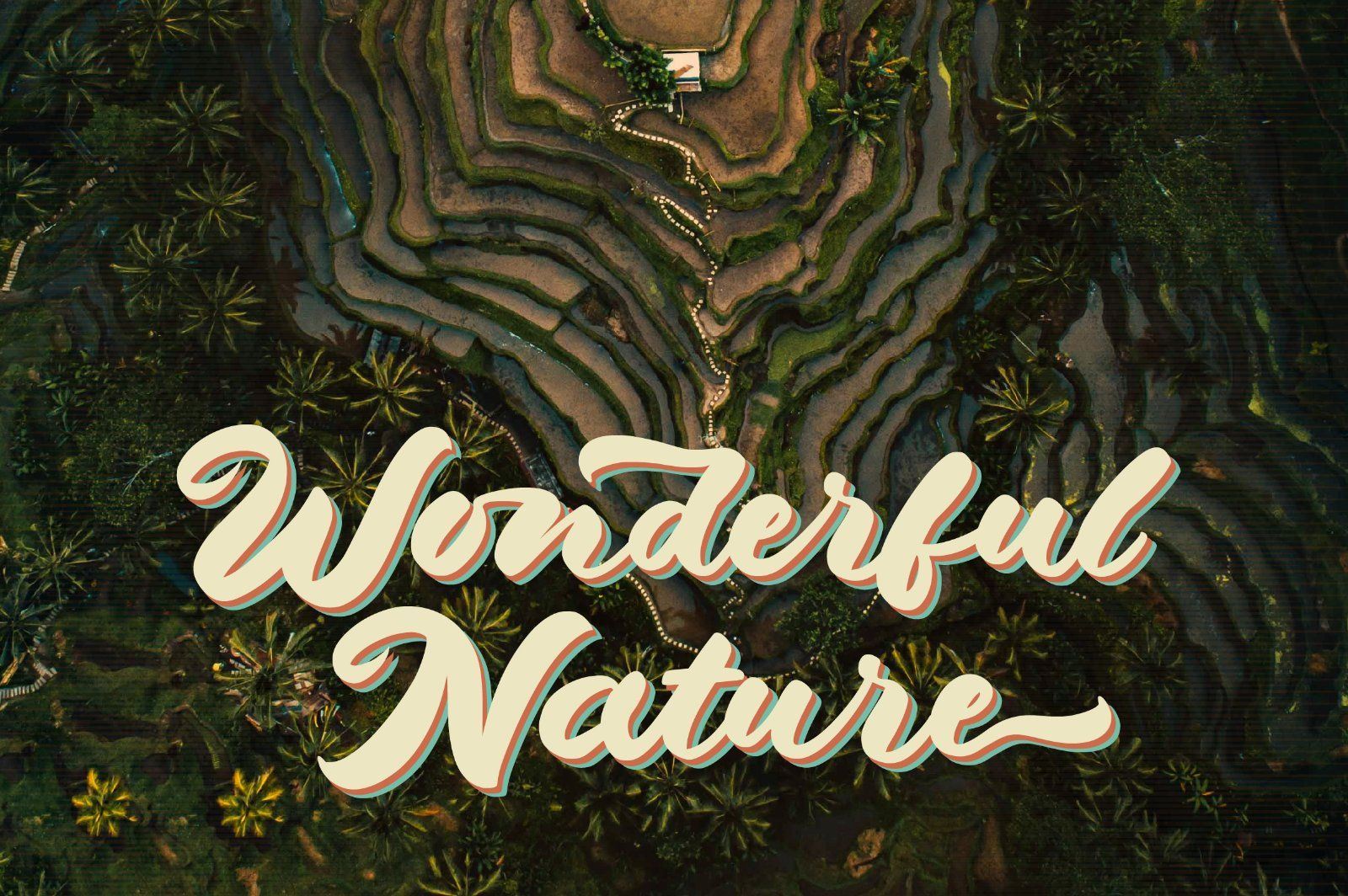 Dragonvoid a Bold & Retro Script — image 3