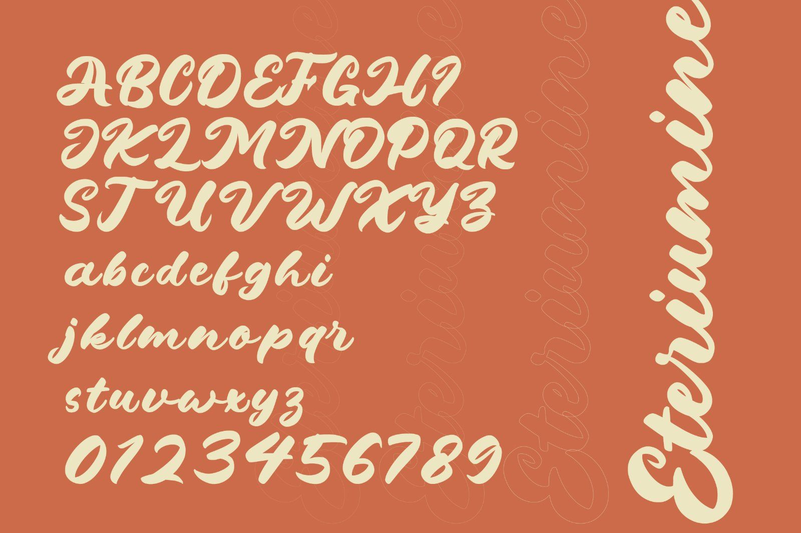 Dragonvoid a Bold & Retro Script — image 6