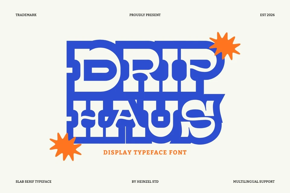 Drip Haus Slab Serif Font