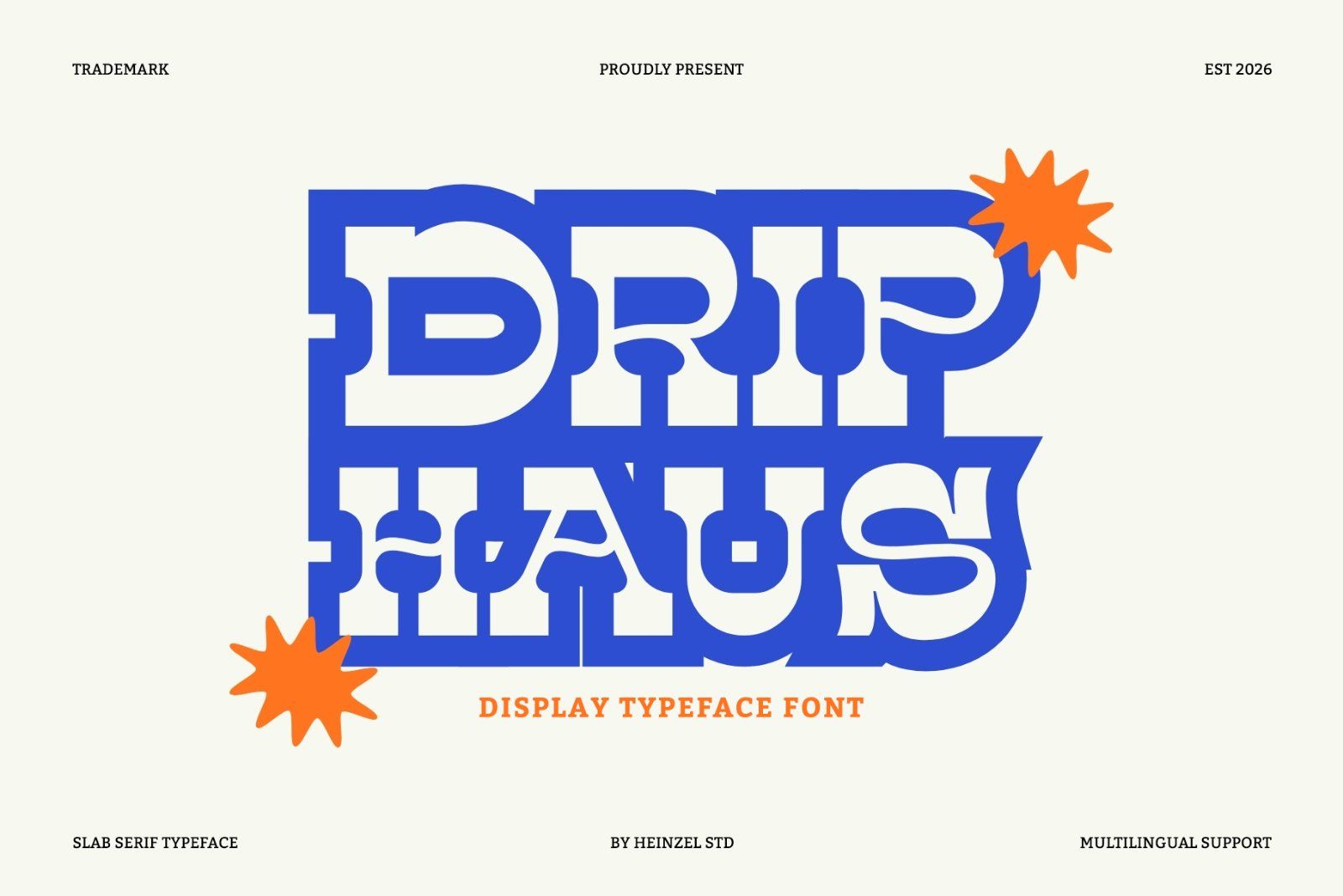 Drip Haus Slab Serif Font — image 1