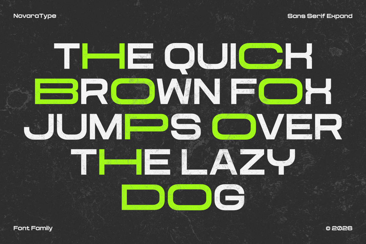 NV Dune Hero – Expanded Sans Serif Font Family — image 6