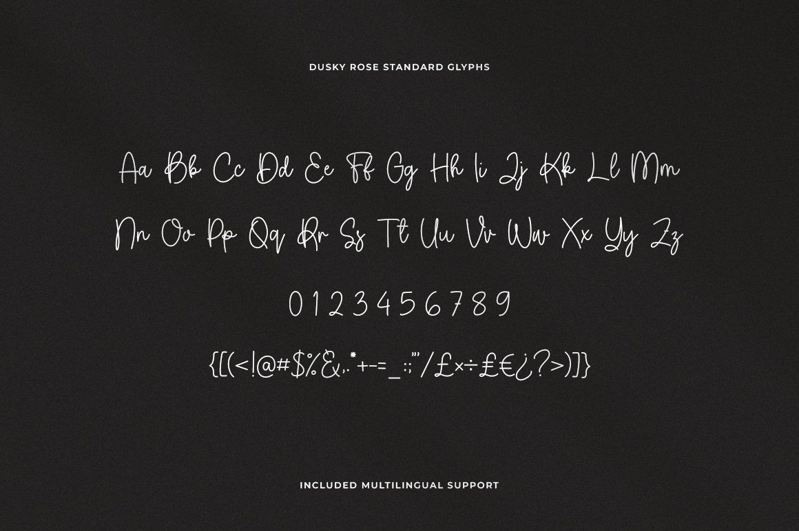 Dusky Rose Modern Handwritten Font — image 10