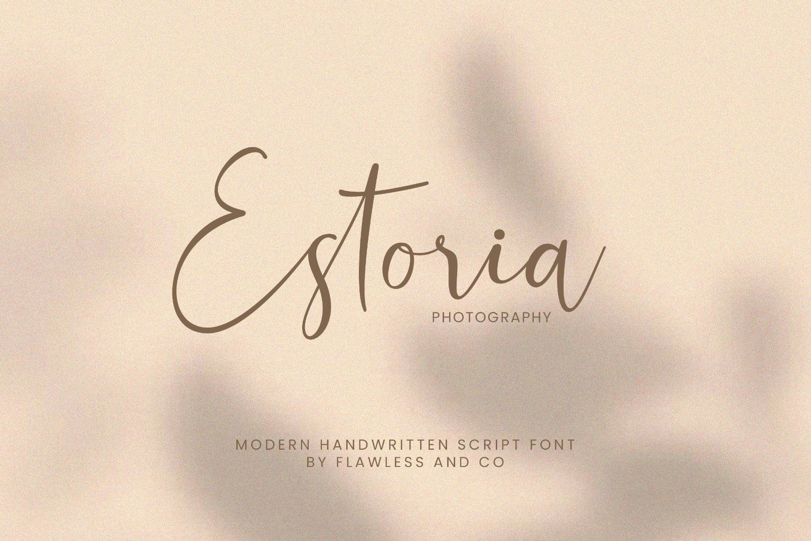 Shandora - Modern Handwritten Font — image 3