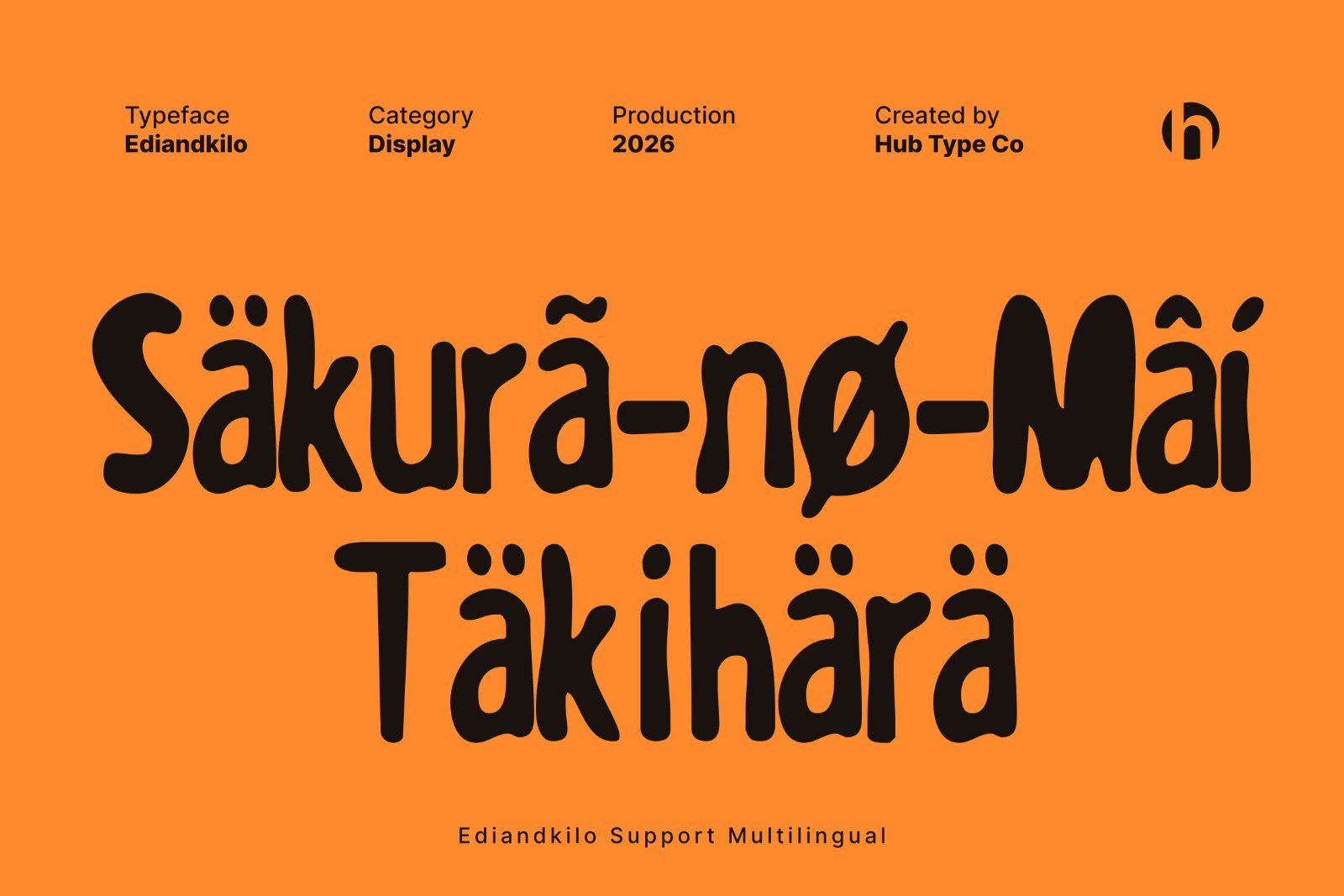 Ediandkilo – Playful & Bold Display Typeface — image 8