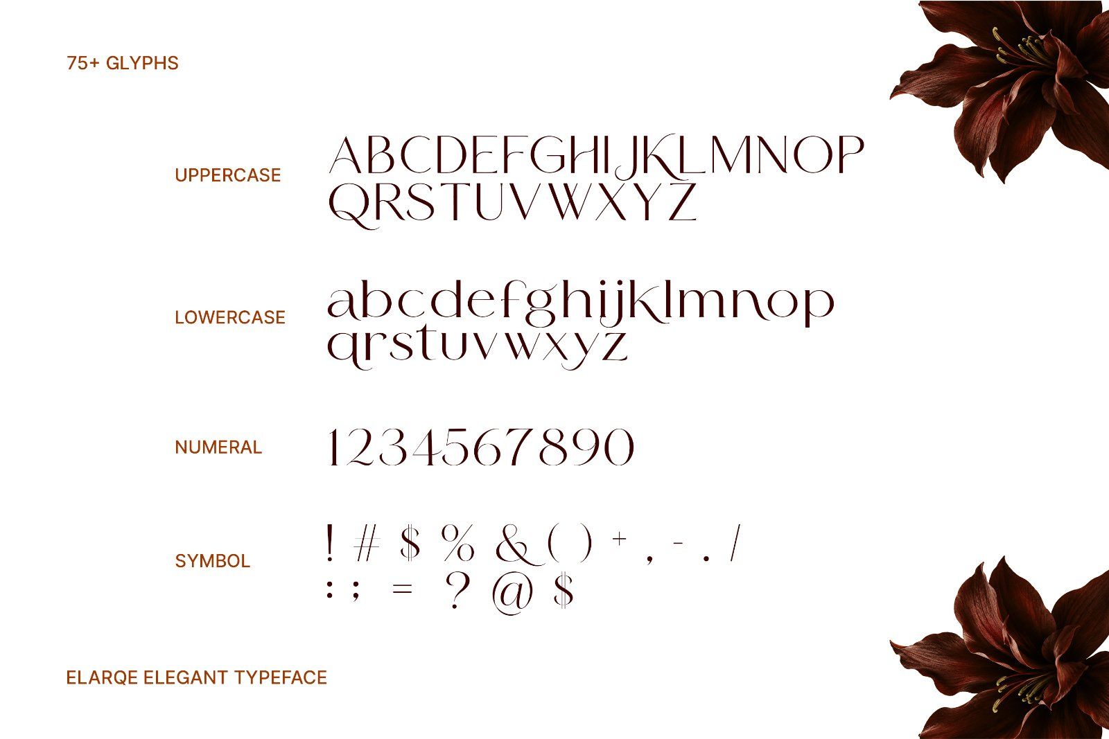 Font Elarqe — Elegant Modern Serif Typeface — image 6
