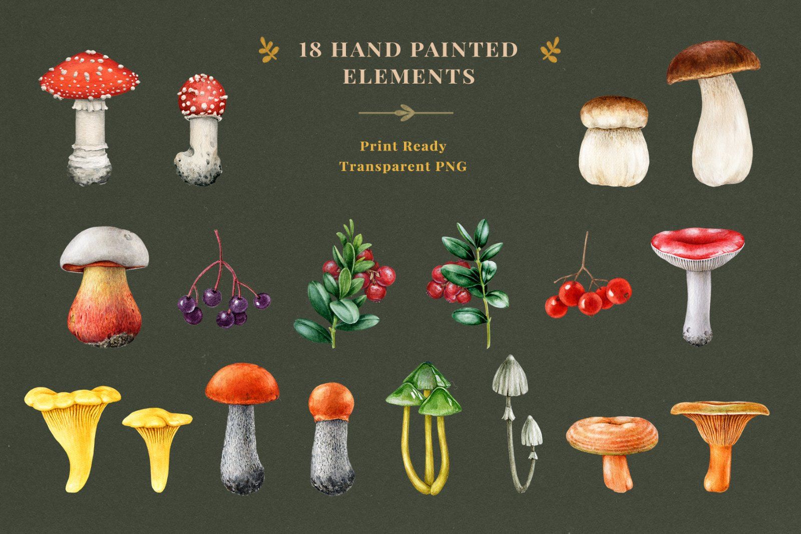 Fall Mushrooms Watercolor Clipart — image 5