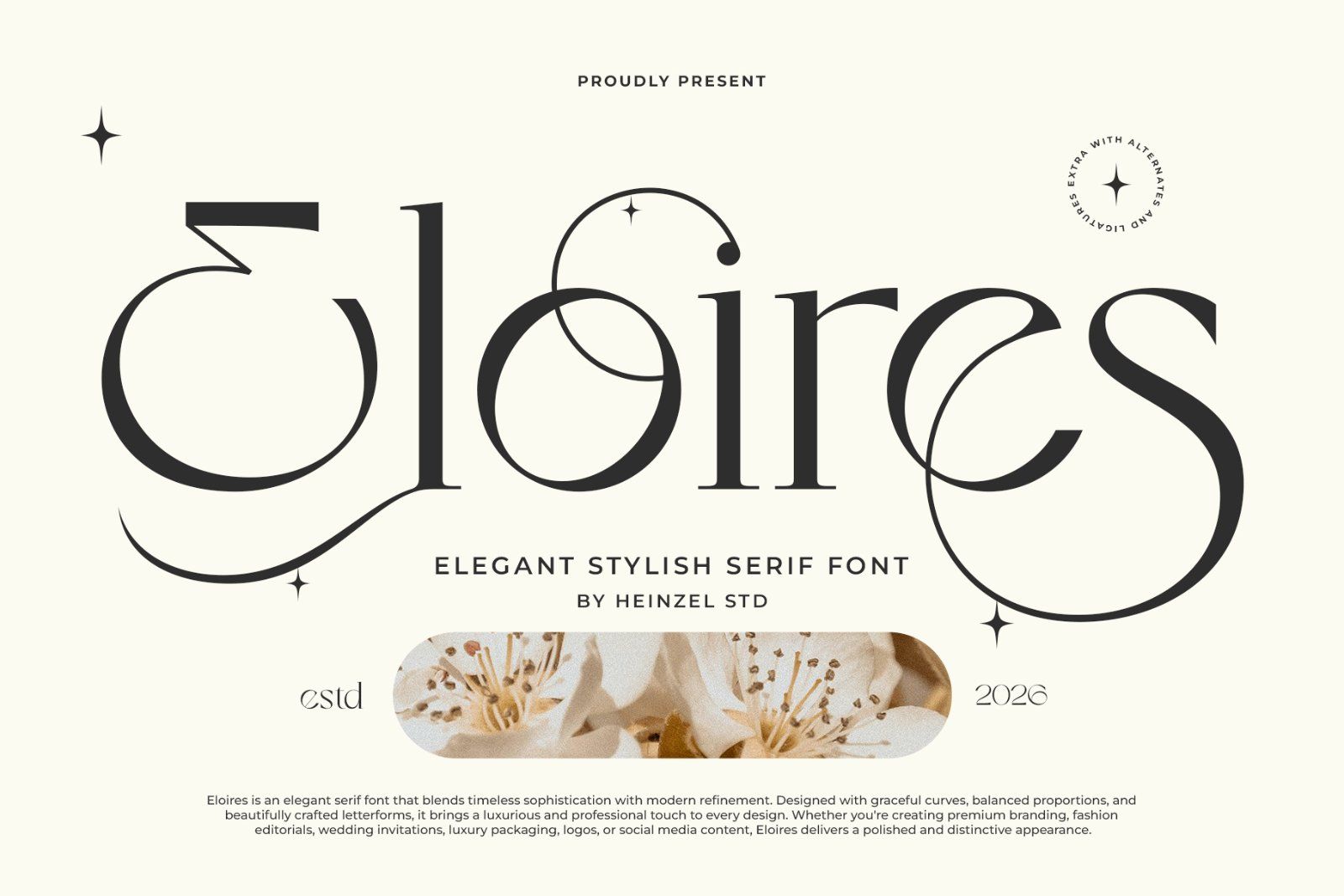 Eloires Elegant Stylish Serif Font — image 1
