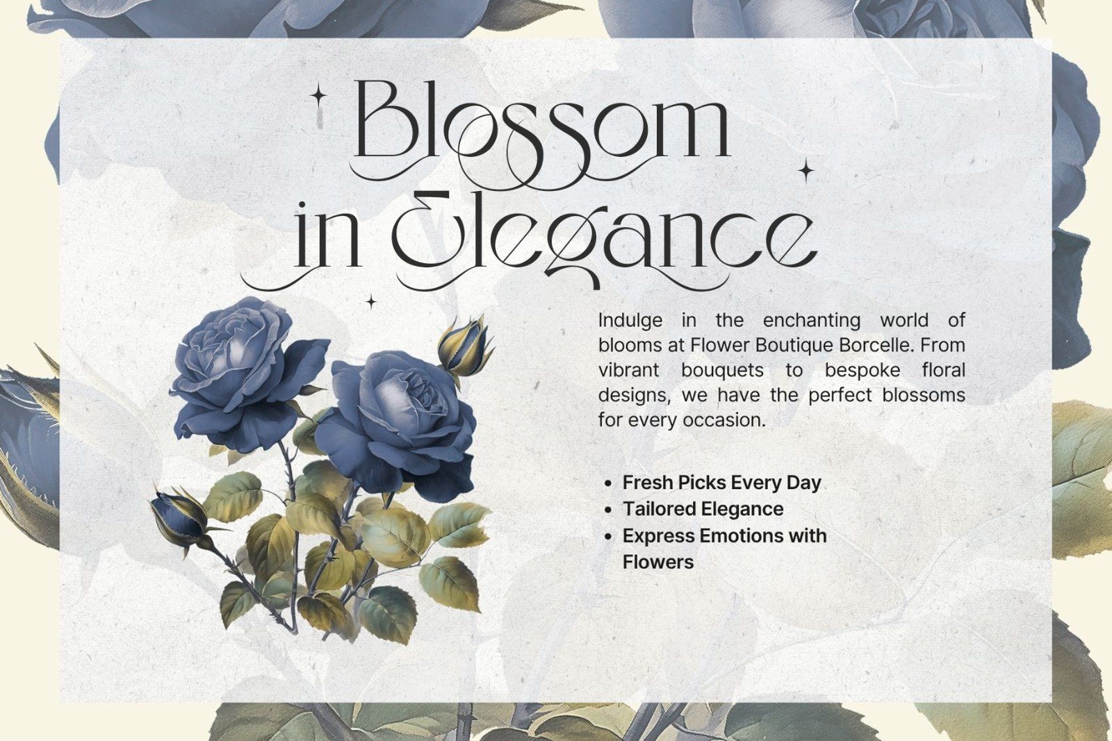Eloires Elegant Stylish Serif Font — image 8