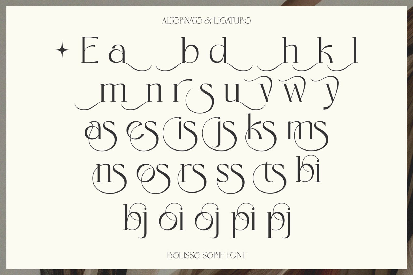 Eloires Elegant Stylish Serif Font — image 9