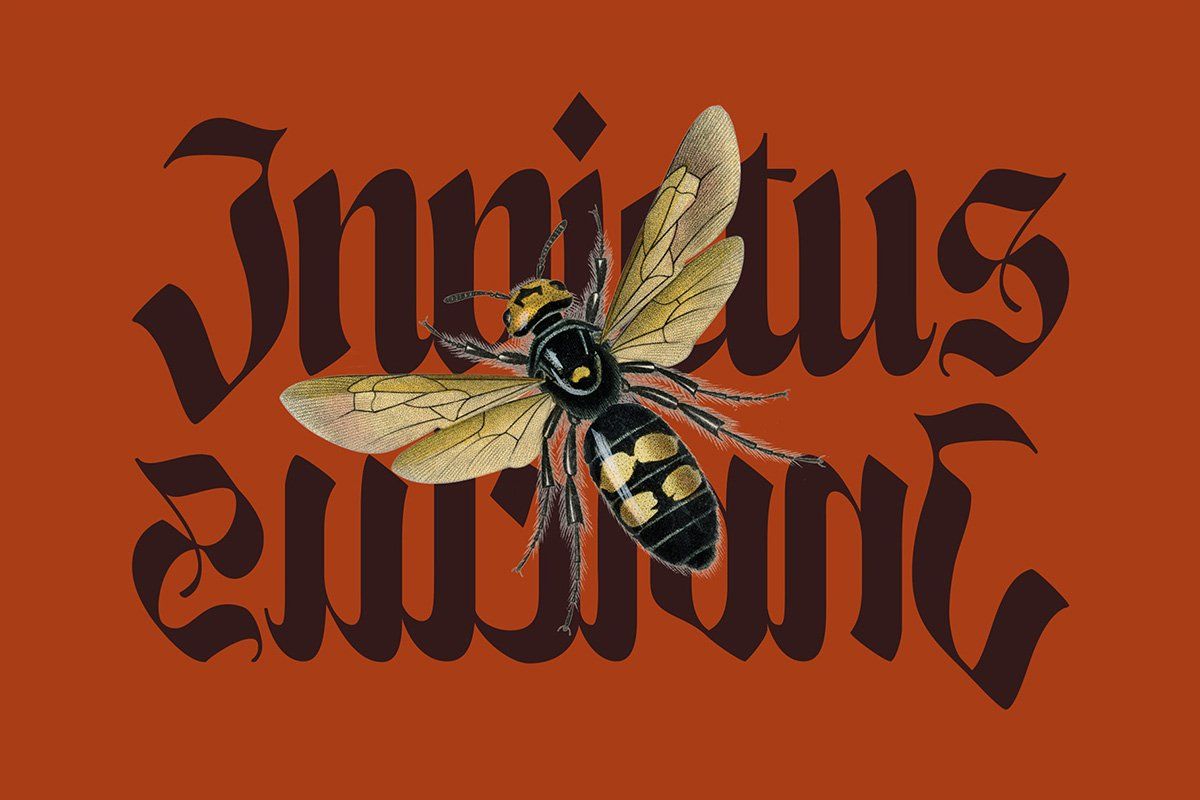 Enigmatic Waesbendiy — Blackletter Font