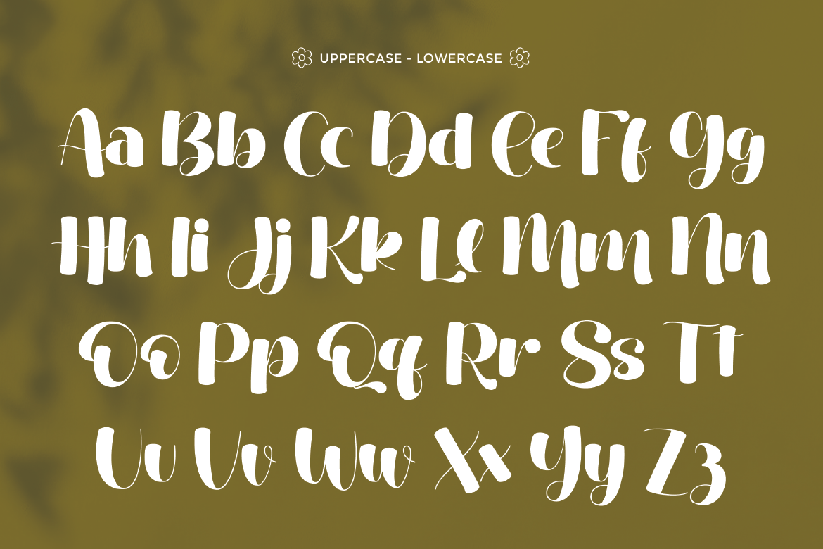 Celesty - Modern Script Font — image 8