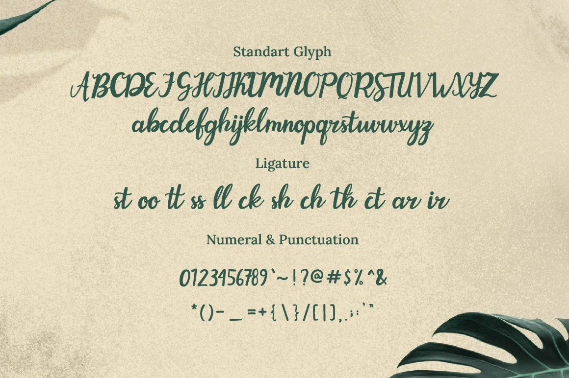 Evergarden Beautiful Script Font — image 8