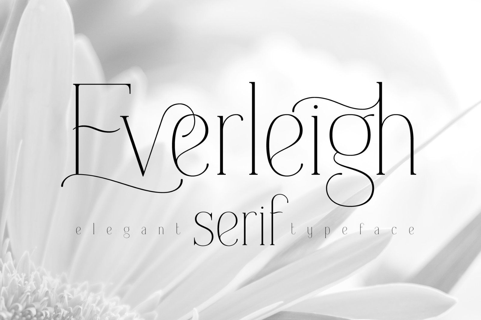 Everleigh Serif font — image 1