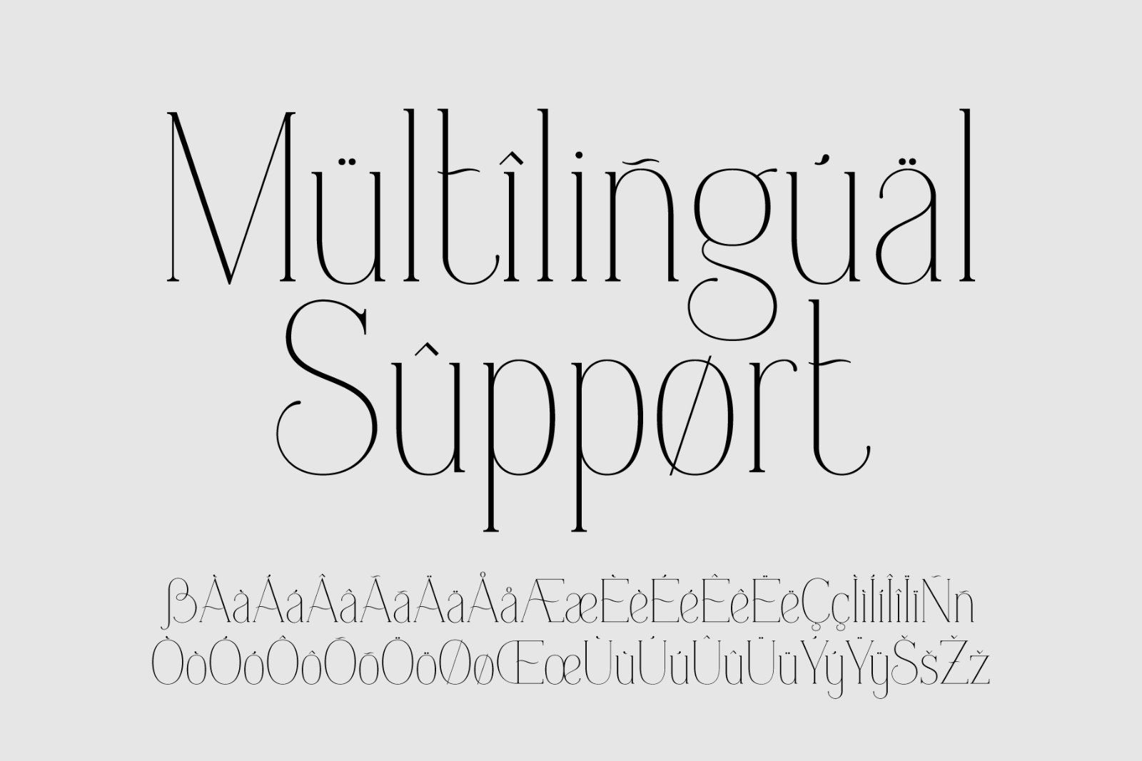 Everleigh Serif font — image 8