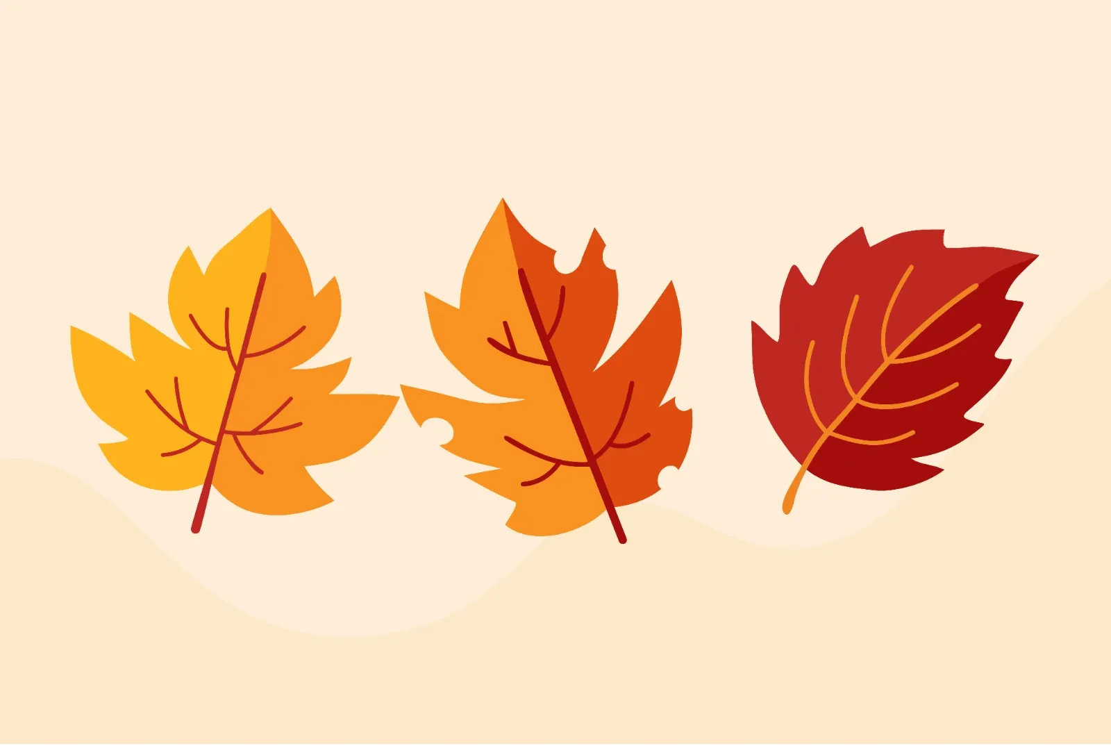 Colorful Autumn Leaves Illustration — image 4