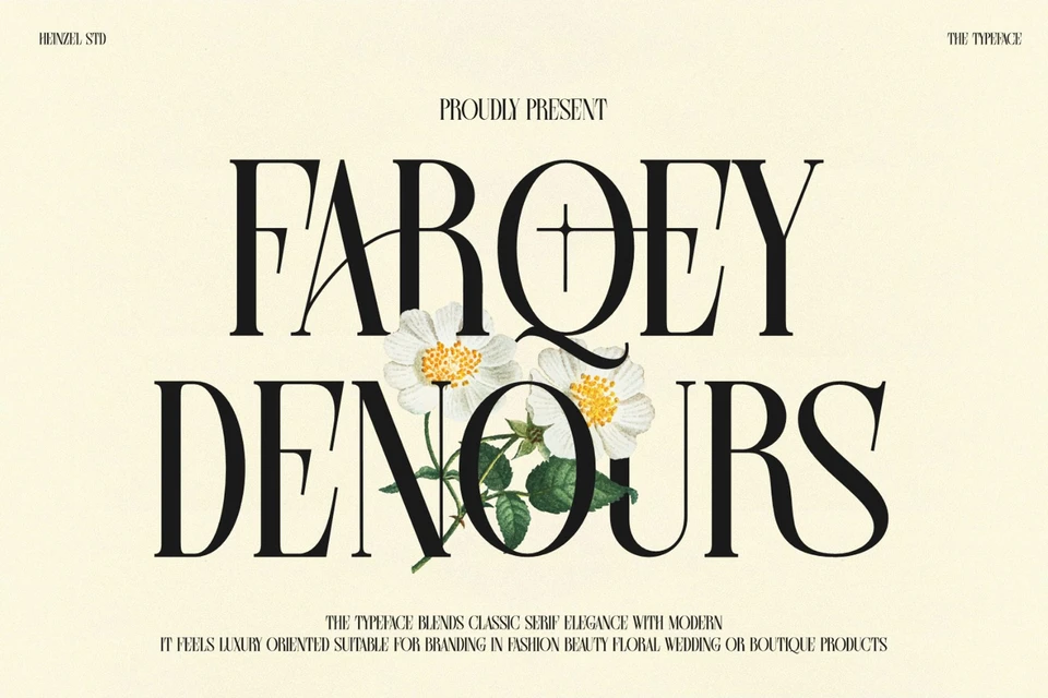 Farqey Denours Modern Serif Font