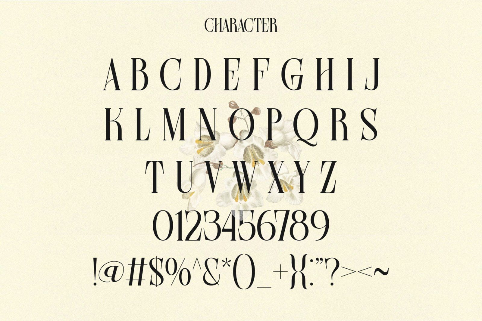 Farqey Denours Modern Serif Font — image 9
