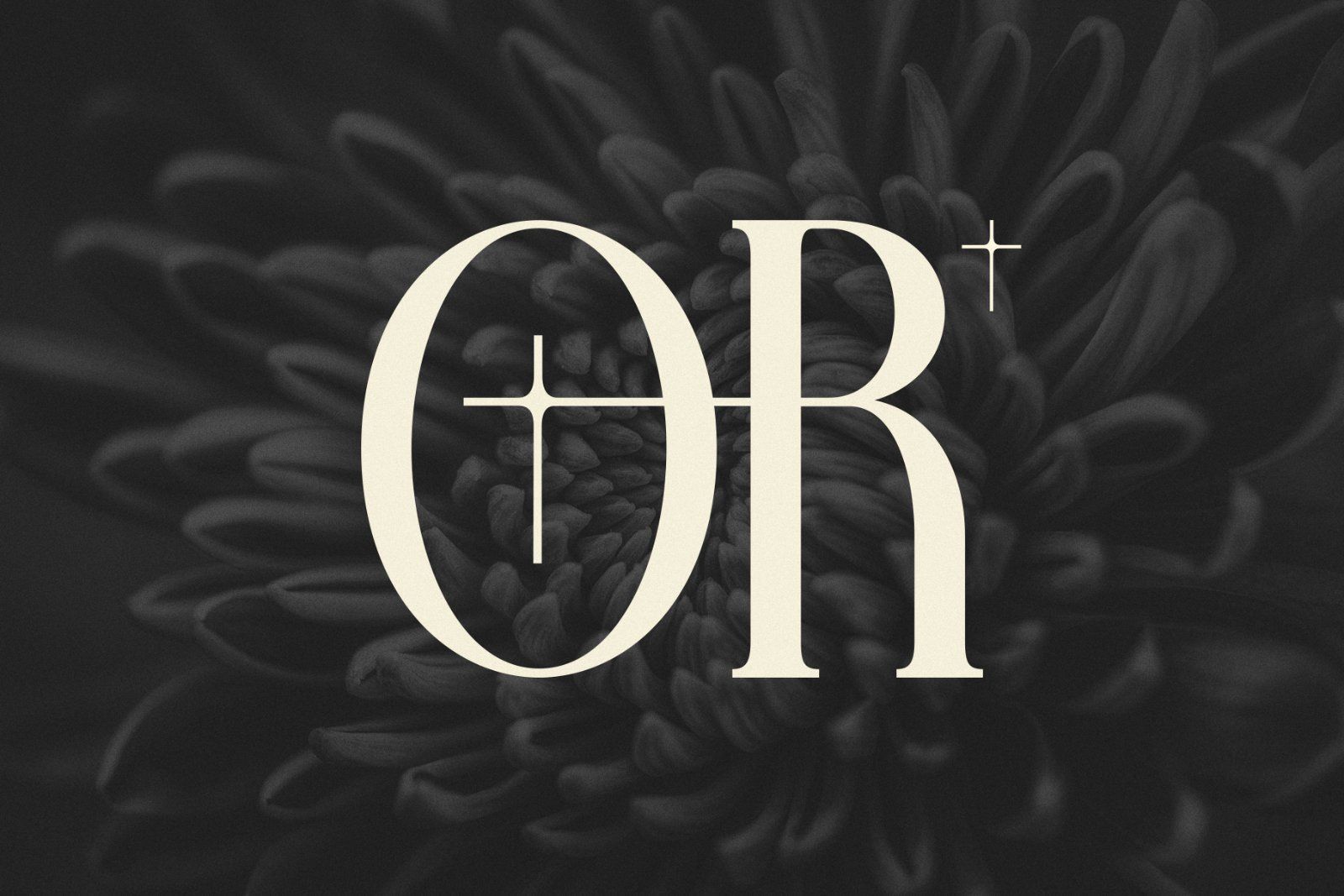 Farqey Denours Modern Serif Font — image 19