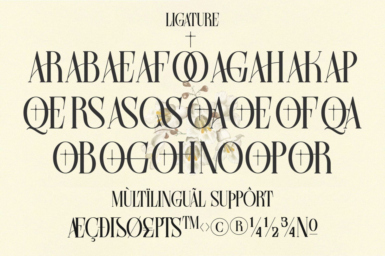 Farqey Denours Modern Serif Font — image 7