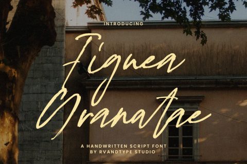 Figuea Granatae – Handwritten Script