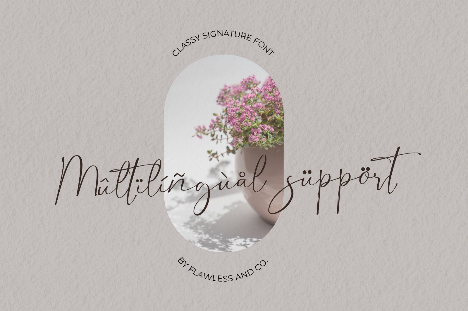 Dorothy - Elegant Script Font — image 2