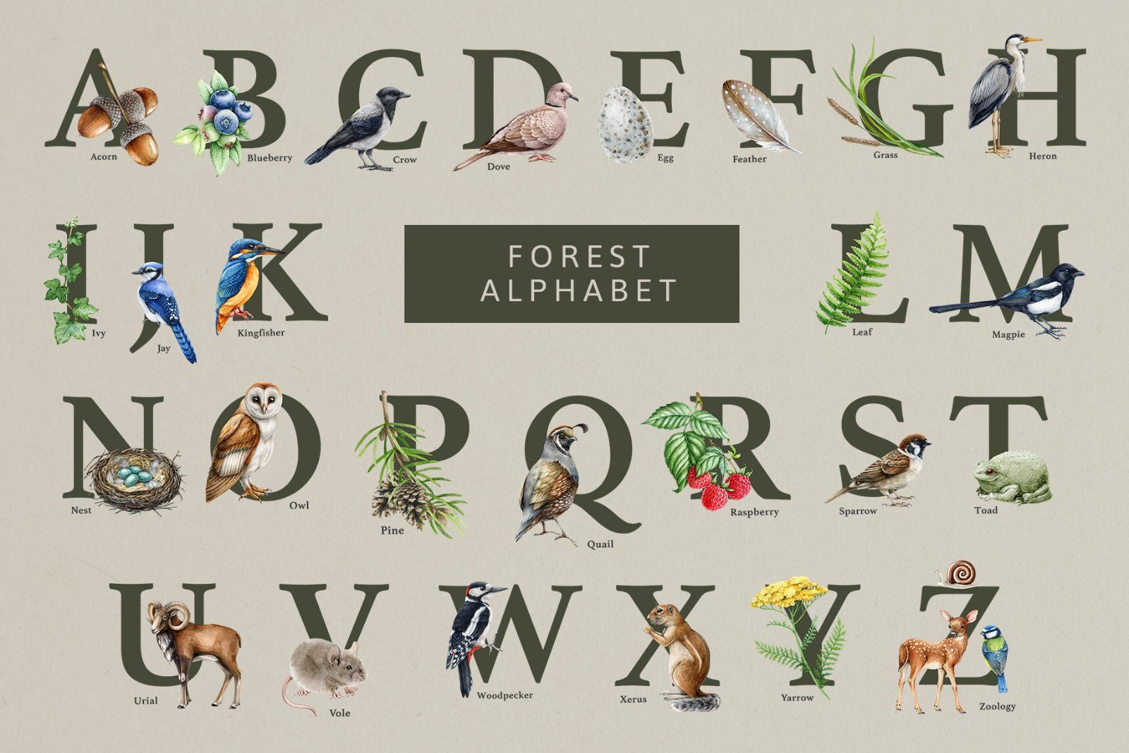 Forest Alphabet Watercolor Clipart — image 3