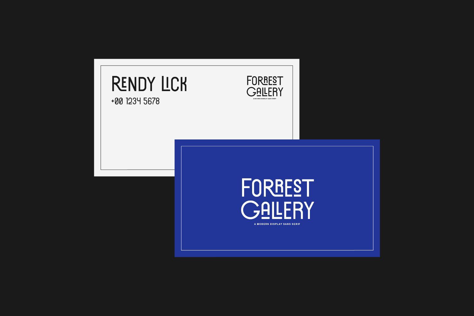 Forrest Gallery Modern Display Font — image 8