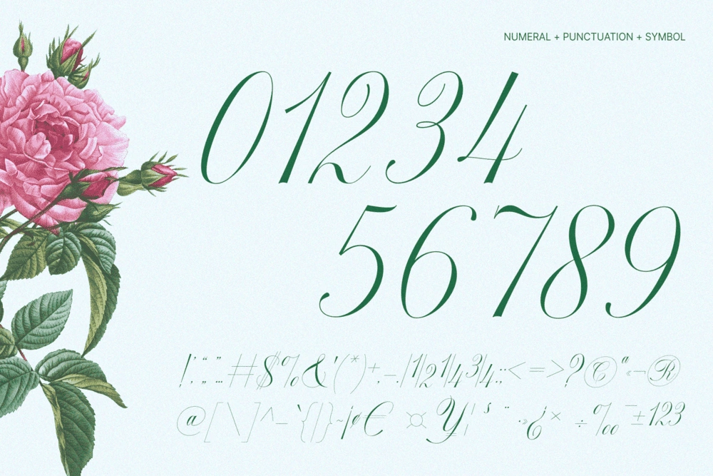 GEFUHATPIN — Elegant Calligraphy Font — image 21