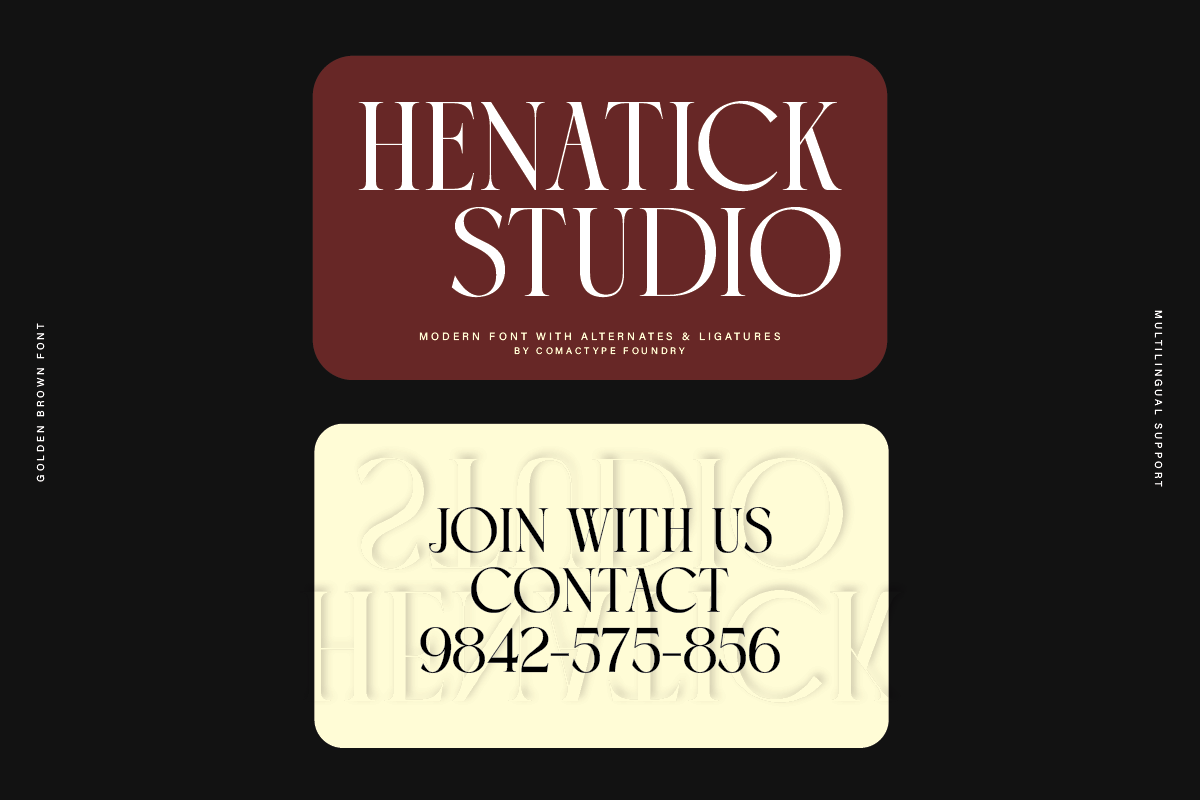 Golden Brown - Modern Serif Typeface — image 6