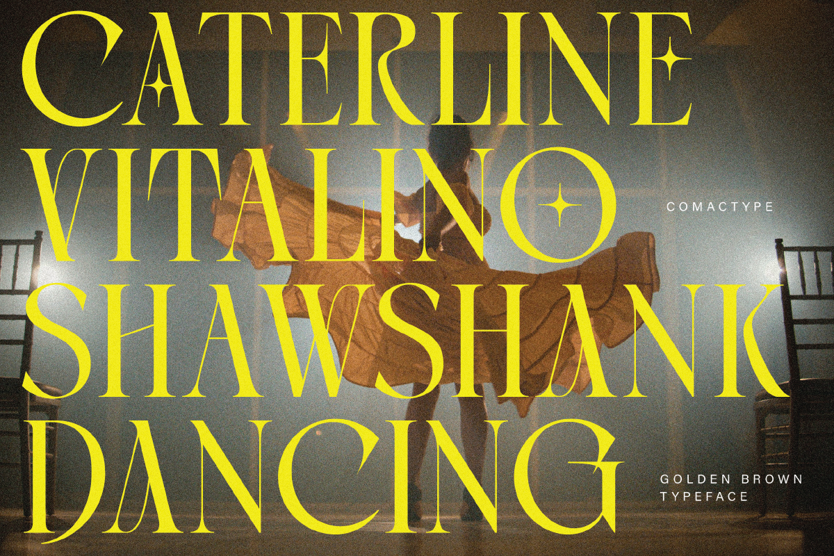 Golden Brown - Modern Serif Typeface — image 11