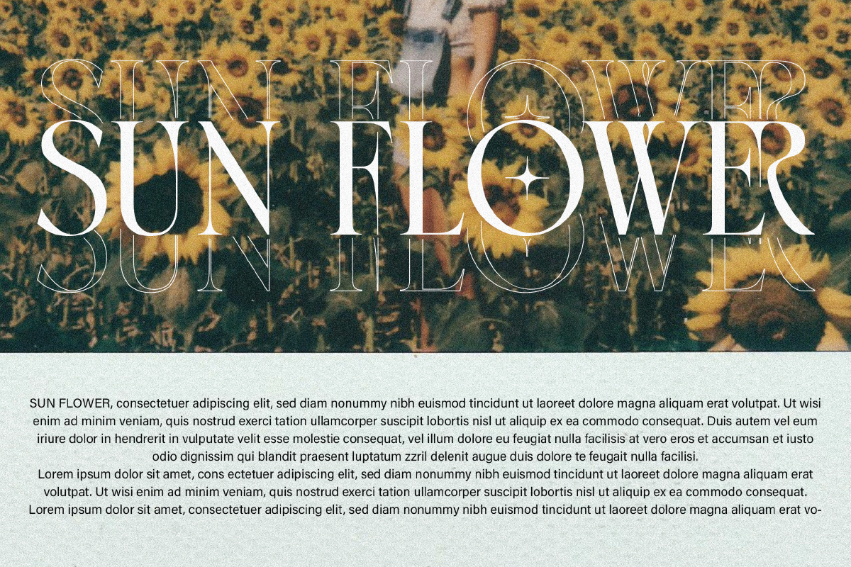 Golden Brown - Modern Serif Typeface — image 15