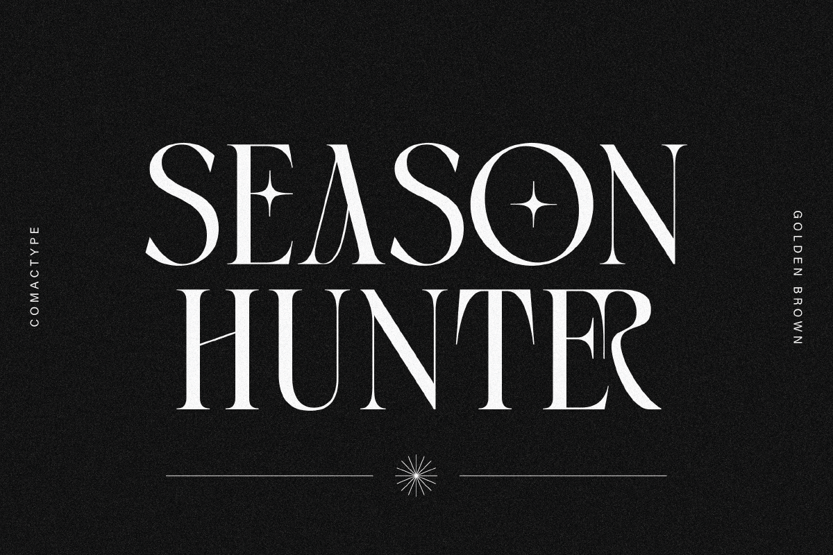 Golden Brown - Modern Serif Typeface — image 16